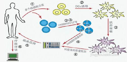 如何提高身體免疫力?