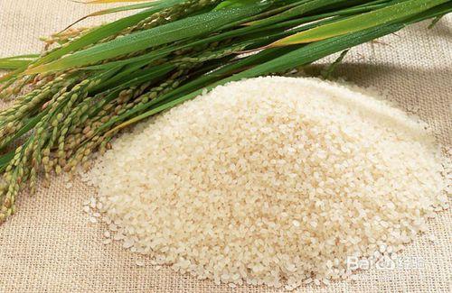 【健康養生】製作清腸道的營養瘦身米油
