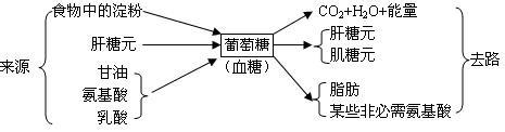 如何巧妙複習高三生物糖知識