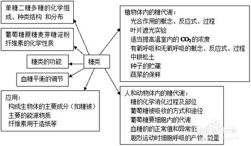 如何巧妙複習高三生物糖知識