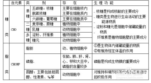 如何巧妙複習高三生物糖知識