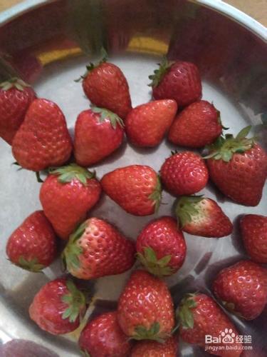 【養生保健】如何科學巧吃、巧洗水果之草莓篇