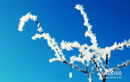 “小雪”遇大雪，如何來養生