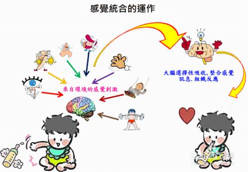 寶寶的性格比較弱勢害怕見生人怎麼辦