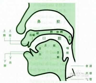 音樂就是我們的情感老師