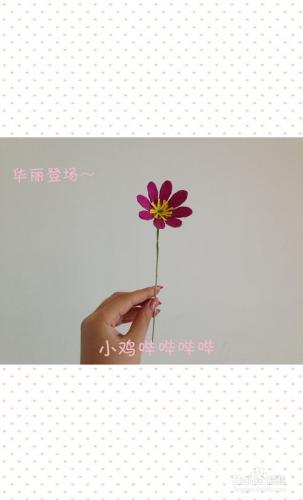 廢物利用——手工製作小雛菊裝飾花