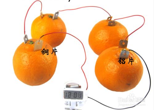 橘子發電-水果發電創意製作