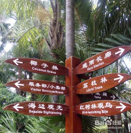 深圳紅樹林該怎麼去？該如何遊玩？