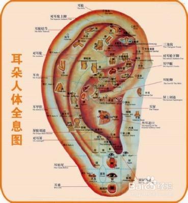 怎樣消除耳鳴的煩惱