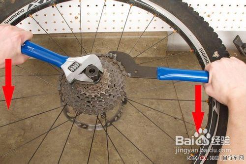 自行車飛輪的拆卸與安裝
