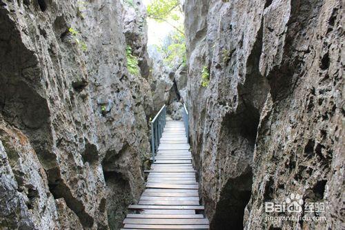 蘇梅島旅遊攻略,自由行寶地（好玩的大集匯）