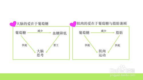 腦力勞動者的健身原則