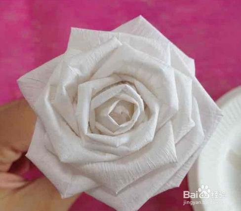 美膩的白色玫瑰花