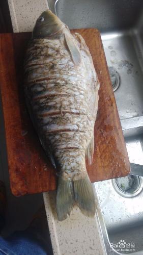 糖醋魚的製作方法