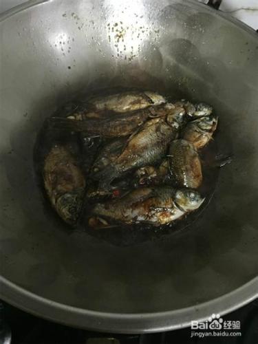 養生菜——好吃的鯽魚燉蘑菇