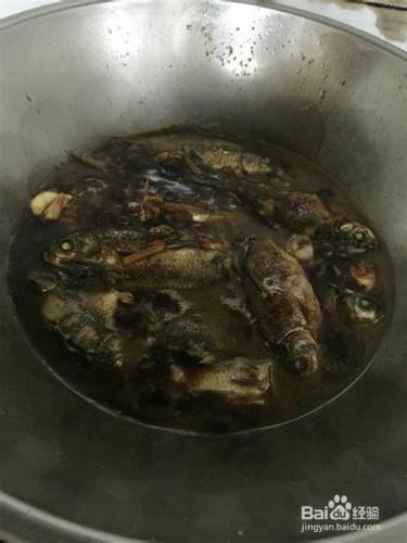 養生菜——好吃的鯽魚燉蘑菇