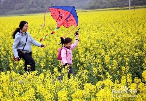 怎樣呵護我們的肺？