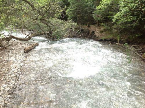 雲南自助旅行之梅里雪山（麗江~雨崩村）