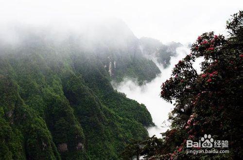 如何做到精粹遊峨眉山？