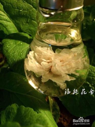 怎麼樣泡玫瑰花茶