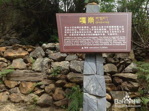 雲南自助旅行之梅里雪山（麗江~雨崩村）