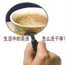 清洗杯子中的茶漬哪一種方法最適用?