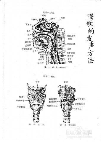 怎樣正確唱美聲？