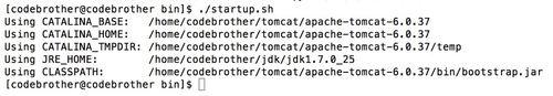 Linux Tomcat安裝及配置 (tar.gz)