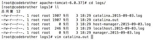 Linux Tomcat安裝及配置 (tar.gz)