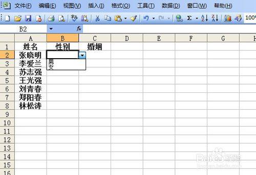 電子表格如何設置選擇性填充按鈕？