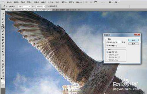 PHOTOSHOP CS5中用鋼筆摳圖