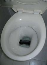 手機掉進廁所怎麼辦？【實用有效】