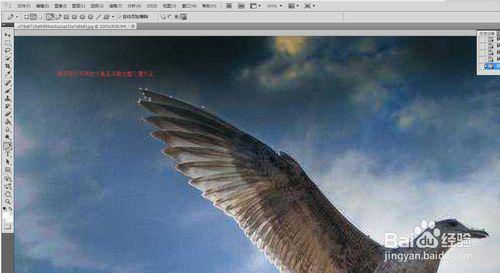 PHOTOSHOP CS5中用鋼筆摳圖