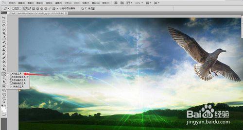 PHOTOSHOP CS5中用鋼筆摳圖