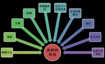 怎麼樣從中醫角度減肥瘦身