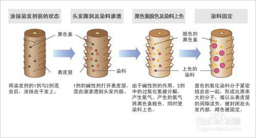 如何選擇燙，染髮劑