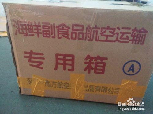 觀賞魚空運需要哪些步驟？怎麼樣減少死亡率？