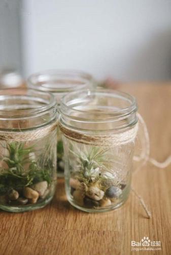 用玻璃罐子教您DIY懸掛的小清新盆栽怎麼做？