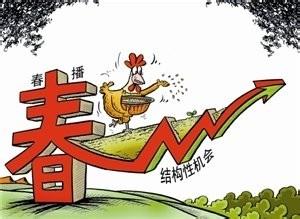 看政府報告，如何買股票賺錢