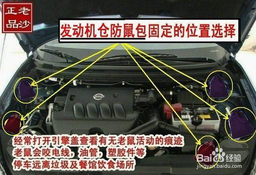 發動機艙防鼠包安裝方法，汽車發動機倉驅鼠