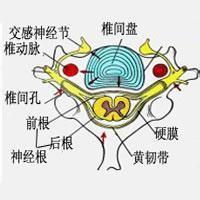 如何判斷頸椎病的類型？