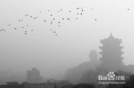 天氣預報霧霾嚴重怎麼辦