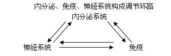 干擾素的副作用