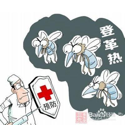 登革熱的認識及防治事項