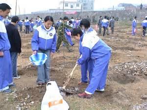 保護孩子視力和扮演寬鬆家長的鬥爭