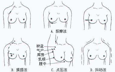 產後胸部保養