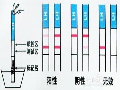 如何提高生男孩的機率