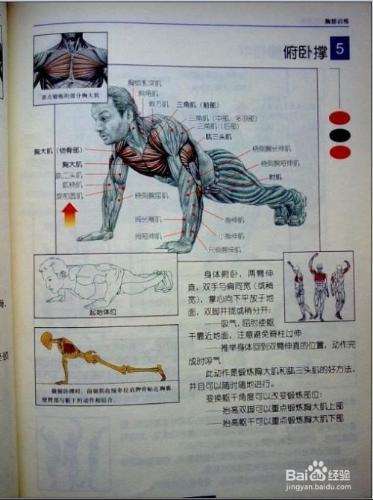 怎樣快速鍛鍊腹肌一個月必定內見效