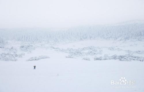 重慶武隆旅遊指南：[1]景點介紹