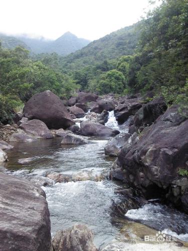 深圳楊梅坑度假旅遊帶來點滴原生態的生活